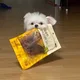 몽글