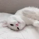 띠륵
