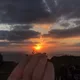 푸딩