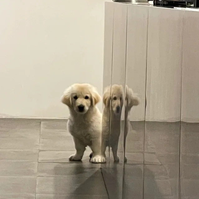 실깡