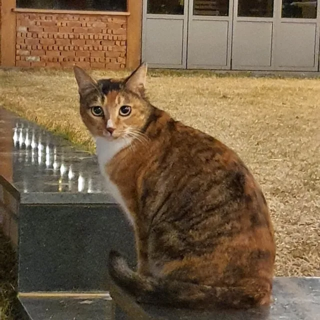 이룸