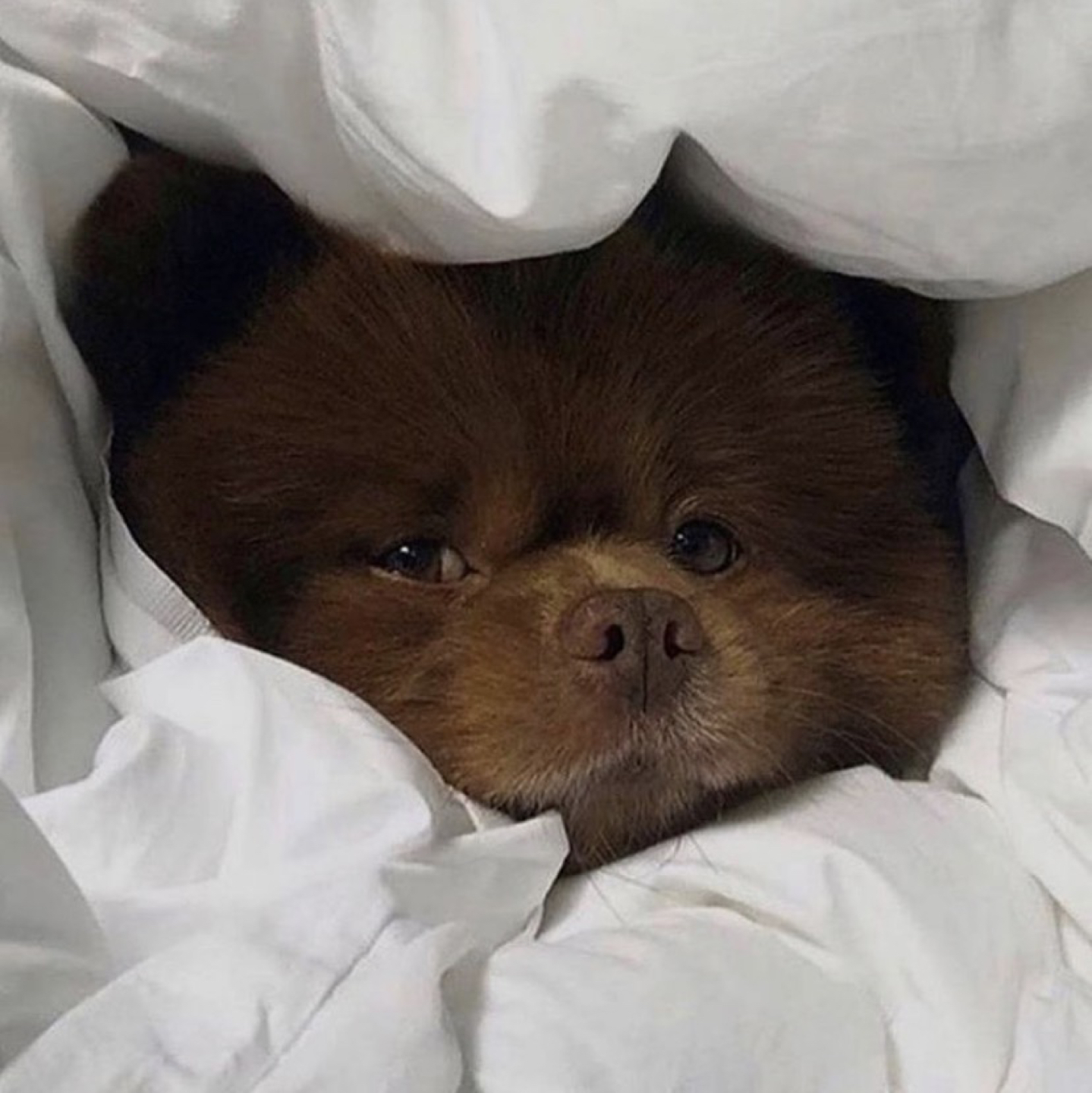 썽썽