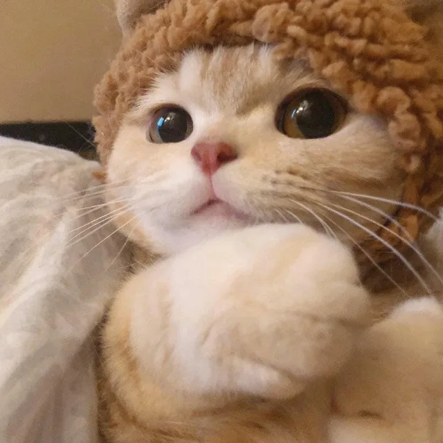 두룸