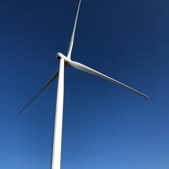 즐거운인생