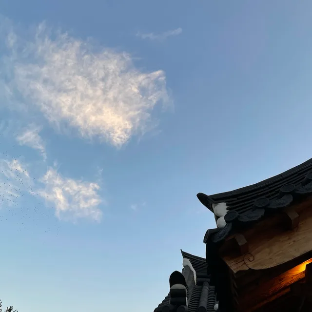 J아나