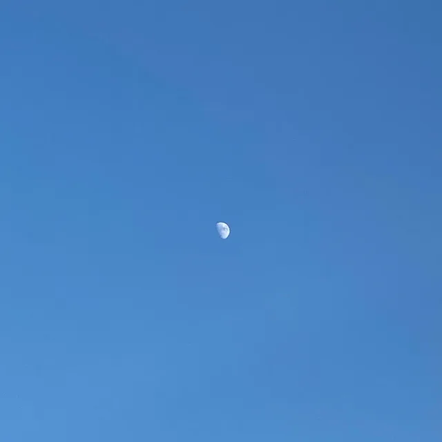 월드콘