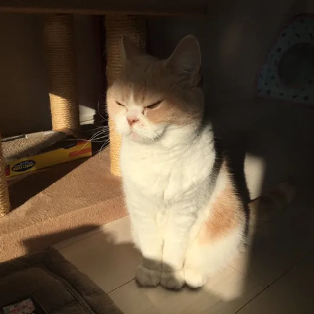 오살