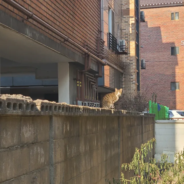 Hyuneeee