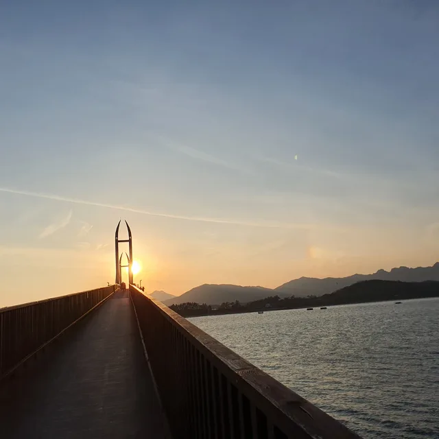 민들레홀씨되어