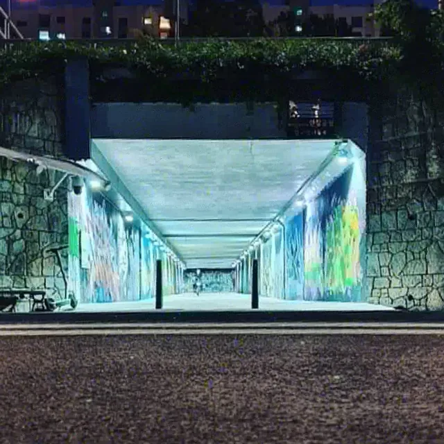 김학동