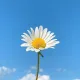 빈사랑