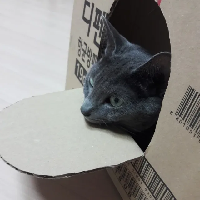 쩌기