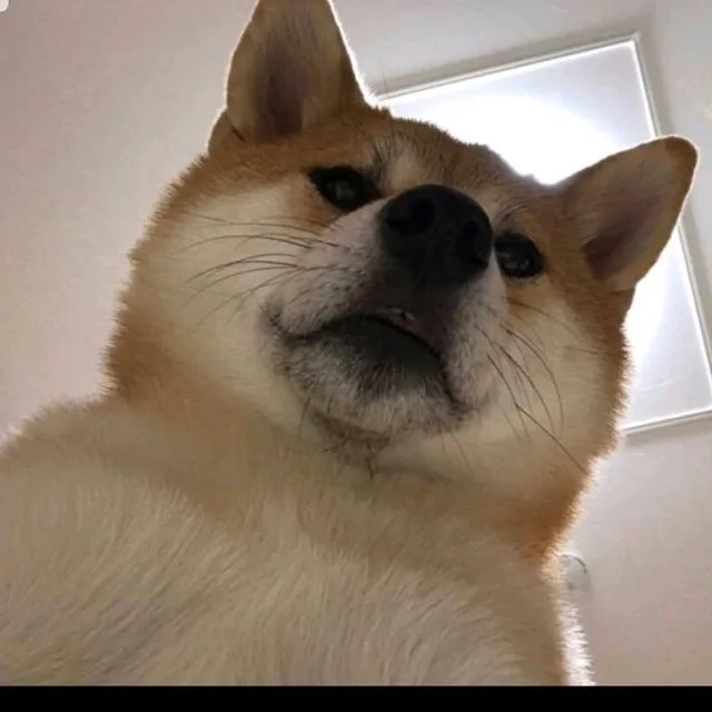 멀렁카우
