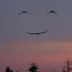바람과함께살빠지다
