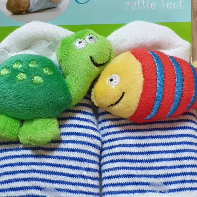 햄씨