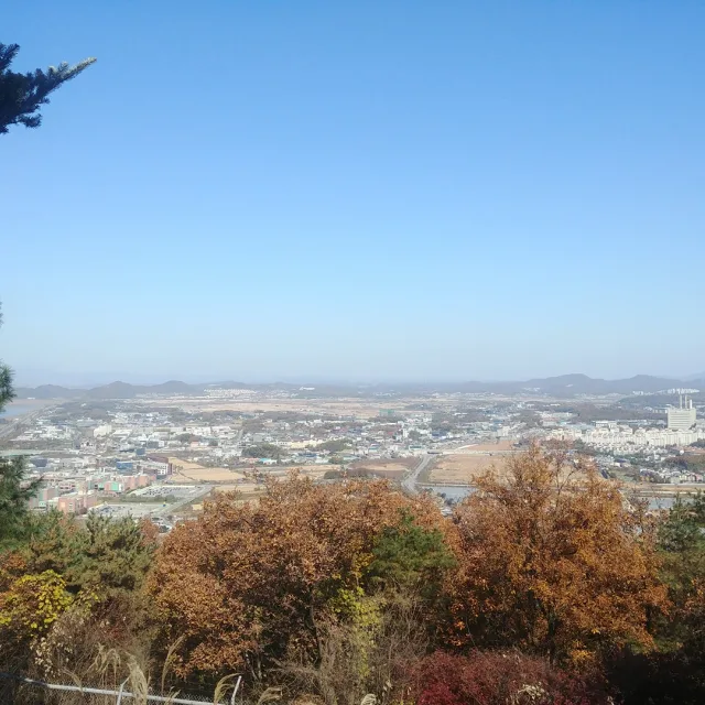 총총이