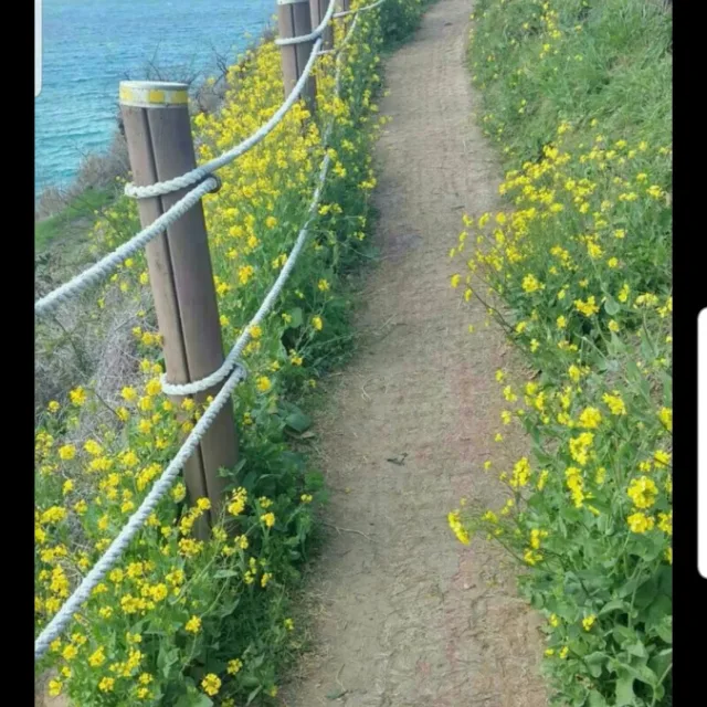 랑이