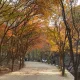 항상사랑합니다