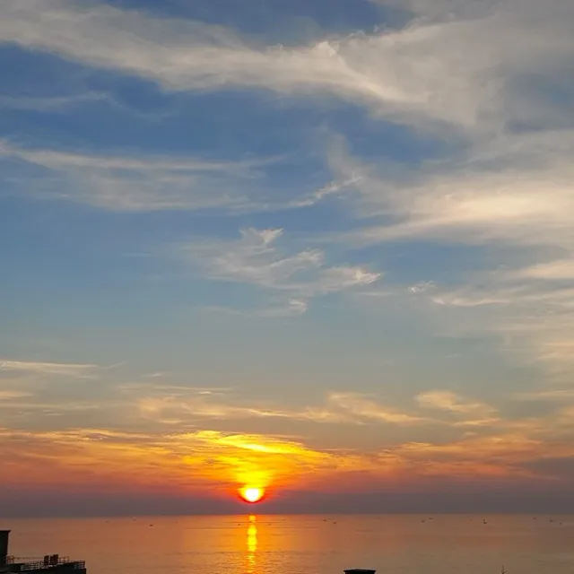 판교도배