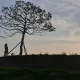 짜리