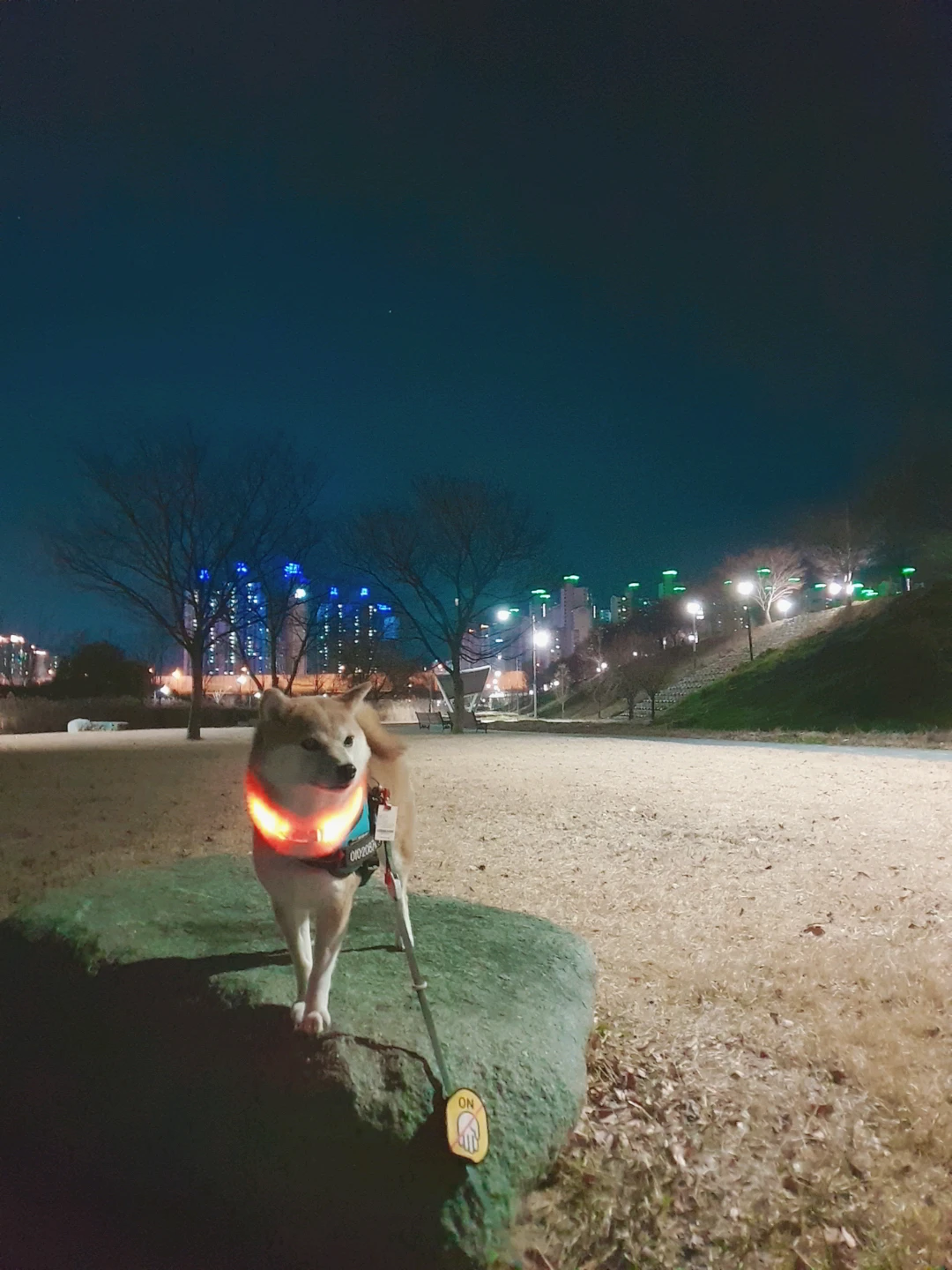 세상겸디