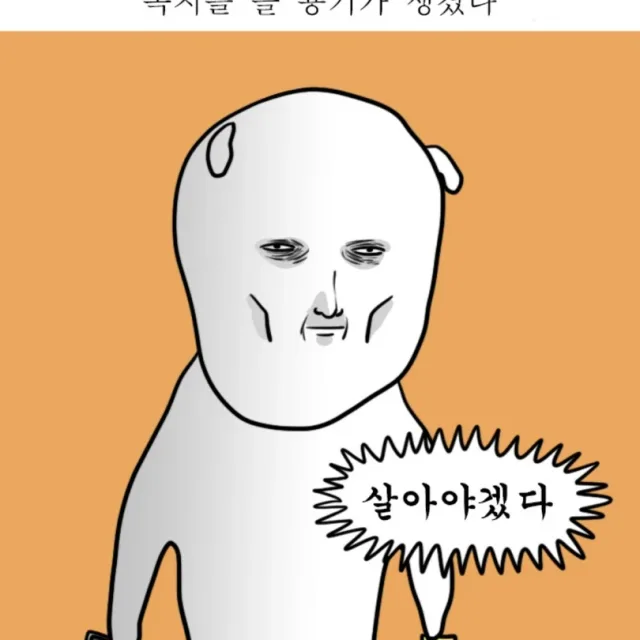 나이테