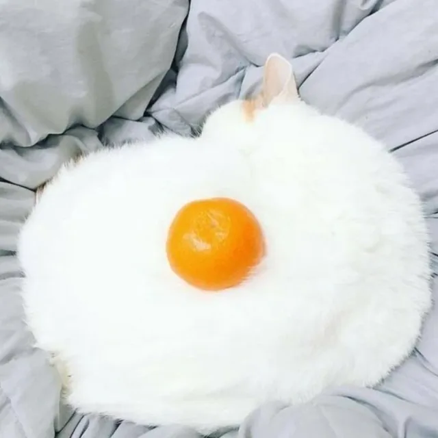 쿠루쿠야크