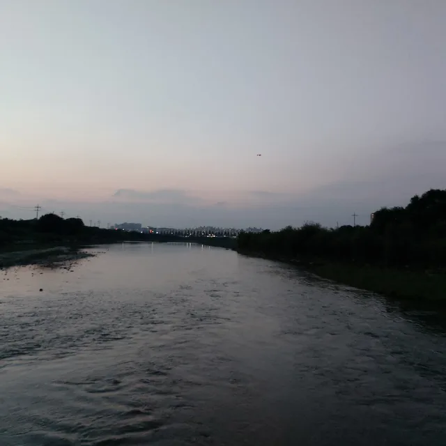 금천동