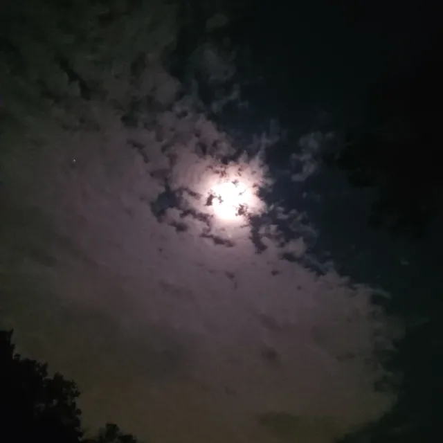 알바터보123