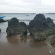 초초우