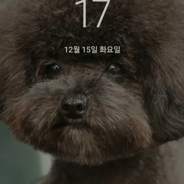 햇님이는집순이