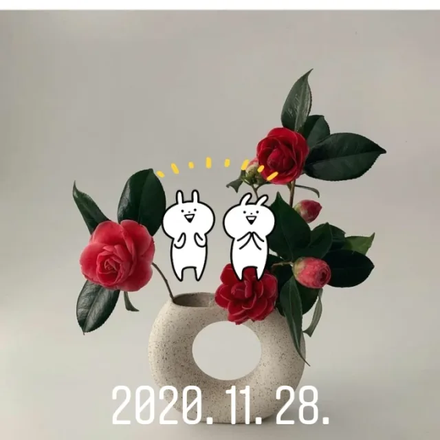 야네스78907