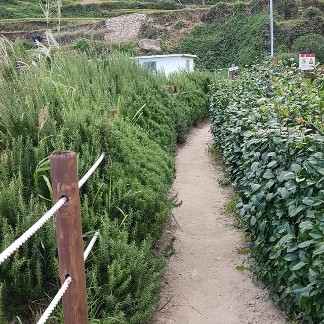 스카2