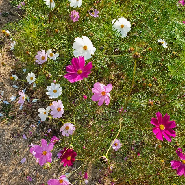 맑은공기