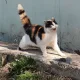 쏭쏭