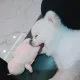 바이정