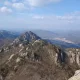 최고