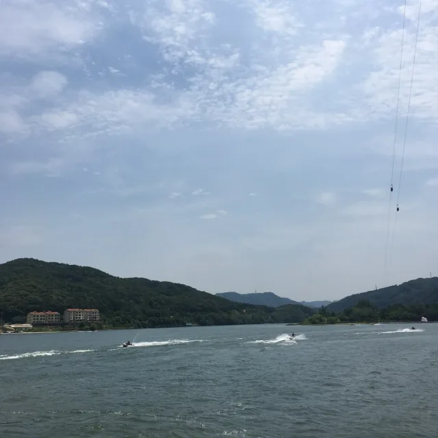 정발산기슭곰발바닥