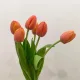 싸게나눔