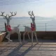 사세요