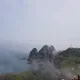 찔레장미조아