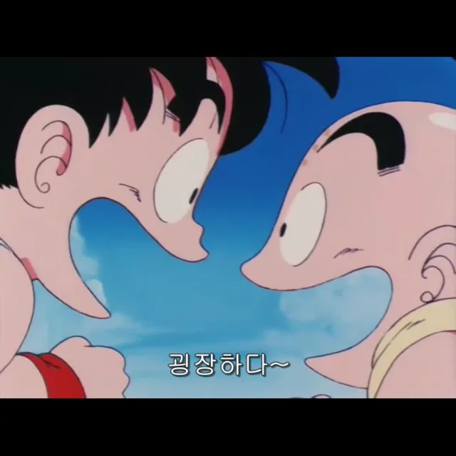 네이더스