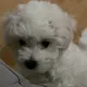 당근당근