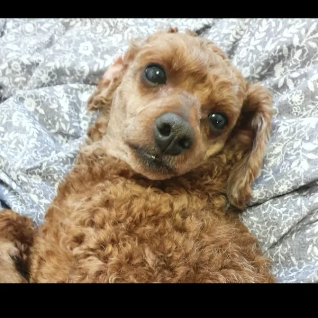파이팅