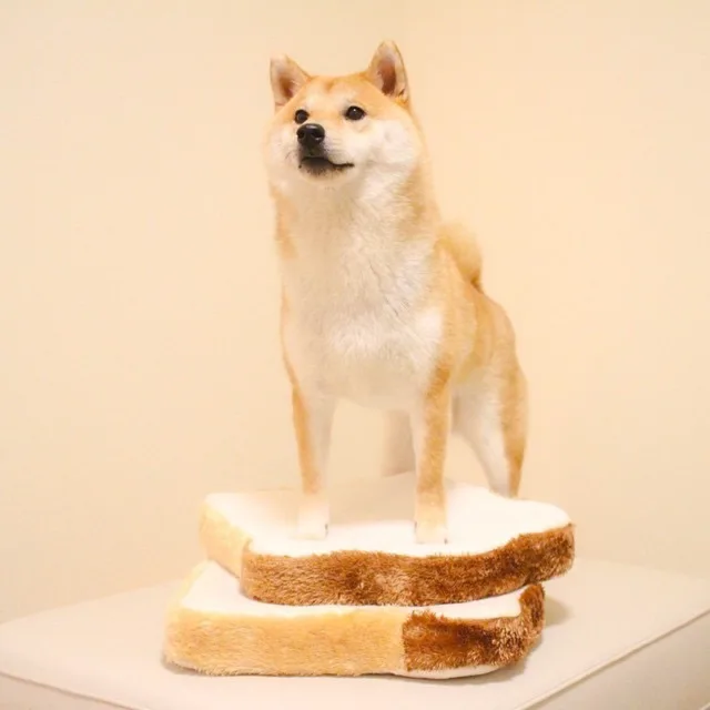 펭귄뚠