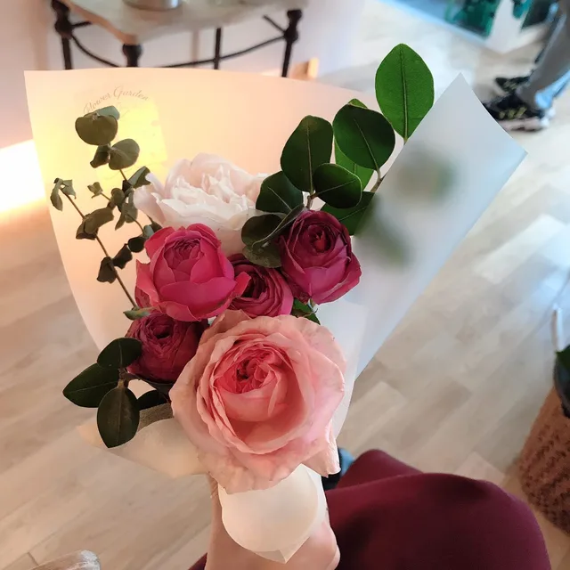 라디아