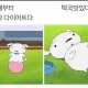 동구