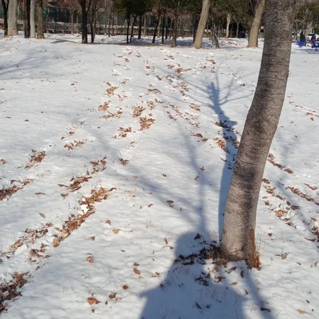 하하