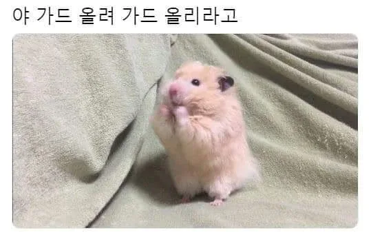 심심