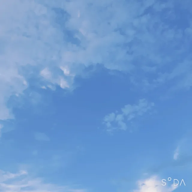 매직월드